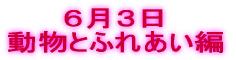4月22日 競艇場編